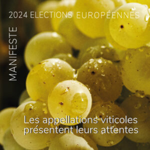 Lire la suite à propos de l’article COMMUNIQUÉ DE PRESSE | Élections européennes : Les appellations viticoles présentent leurs attentes