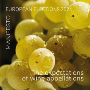 Read more about the article PRESS RELEASE | European elections: Wine appellations present their expectations