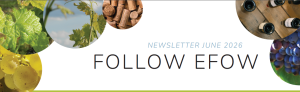 Read more about the article FOLLOW EFOW | NEWSLETTER JUNE 2026